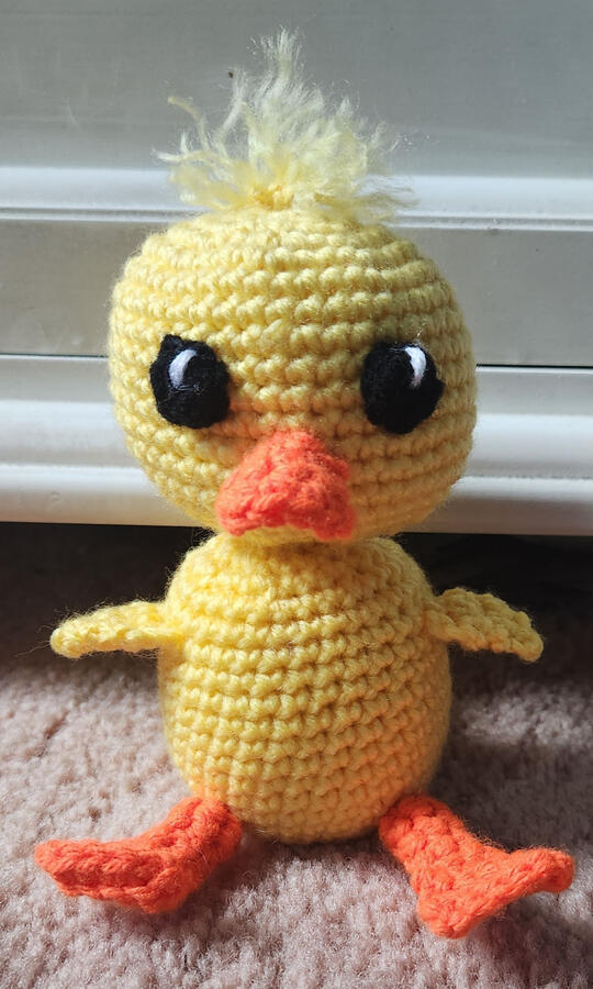 Duck